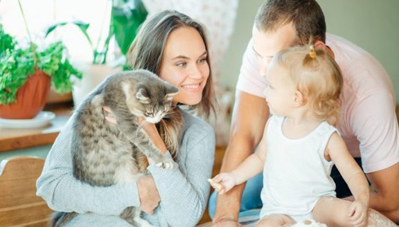 Celebrate & Smile Bright During Family Wellness Month